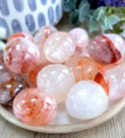 The Holistic Hamper