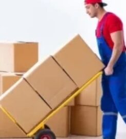 Waldo Movers