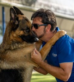The Canine Classroom | Dog Training Kedron