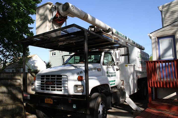 Tree Cutting & Trimming Brentwood