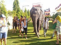 EleJungle – Nature & Elephant Safari in Jaipur