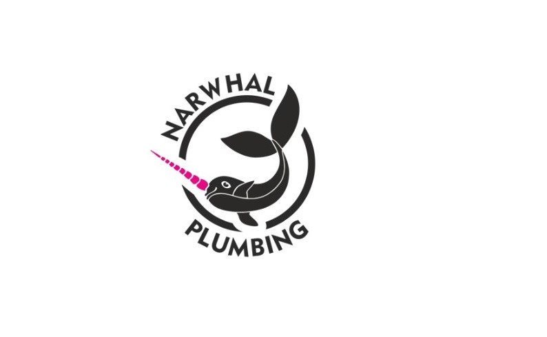 Narwhal Plumbing