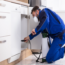 Pest control Ann Arbor MI