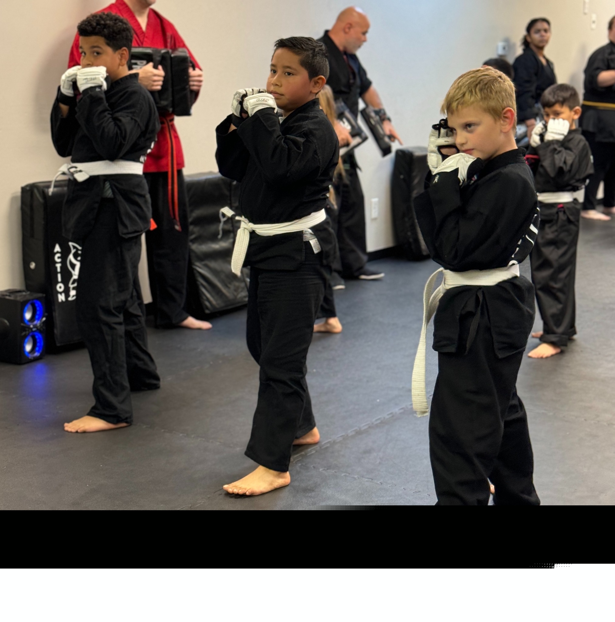 Action Karate Skippack