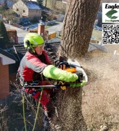 Eagle Tree Experts