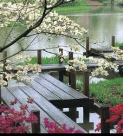 GPAK Tacoma landscaper