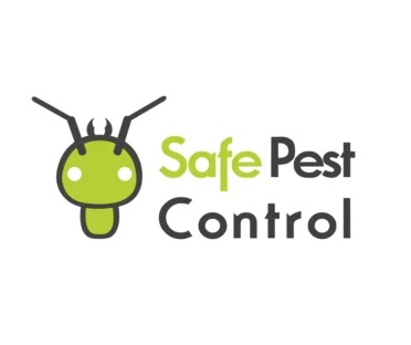 Wasp Pest Control Sydney