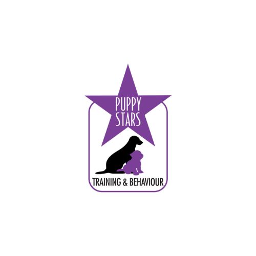 Dog Trainer in Bicester – Puppy Stars