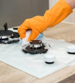 Rapid Oven Cleaning – North Sydney