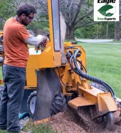 Eagle Tree Experts