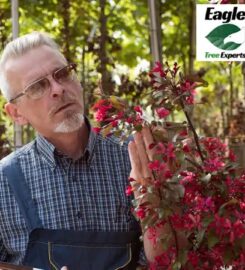 Eagle Tree Experts