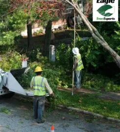 Eagle Tree Experts
