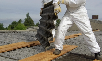 ES Firmino Asbestos Inspection