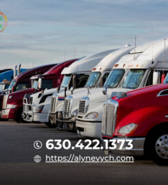 Alynevych Inc.