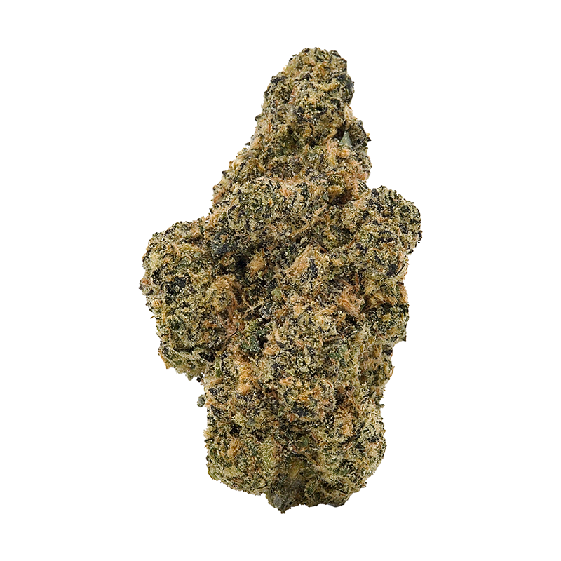 Sawadee Sativa