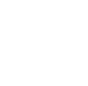 Lionsgate Limousine