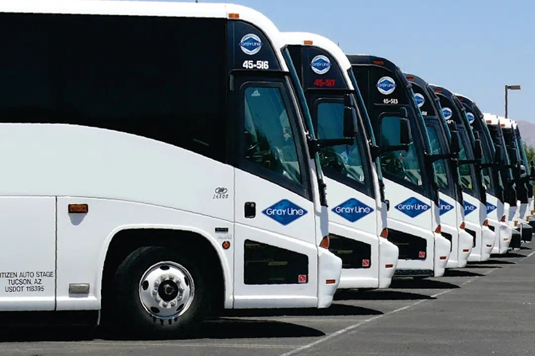 Gray Line Tours & Charter Bus Rentals Phoenix