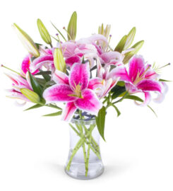 London Florist and Garden Center