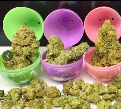 KOLAS Weed Dispensary & Delivery – Florin, Sacramento