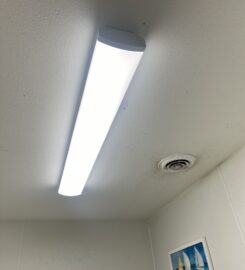 Professional Electric