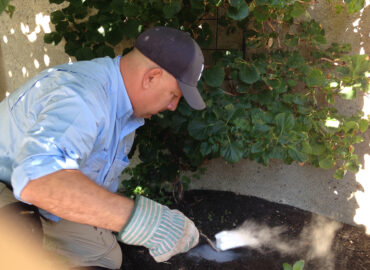 Squared Away Pest Control
