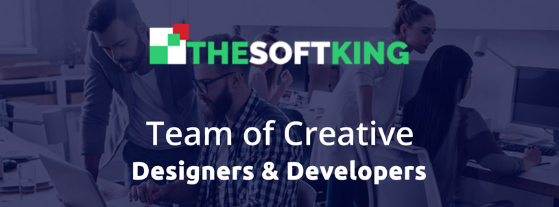 THESOFTKING Limited