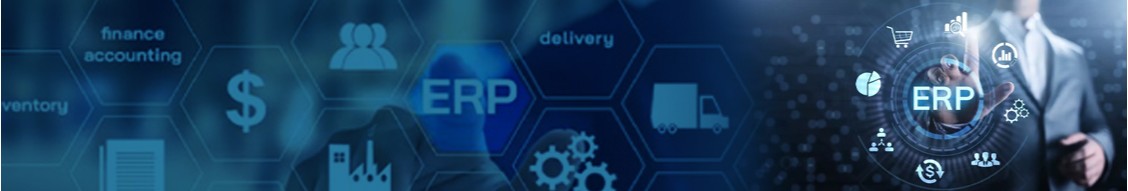 ERP Consulting Group