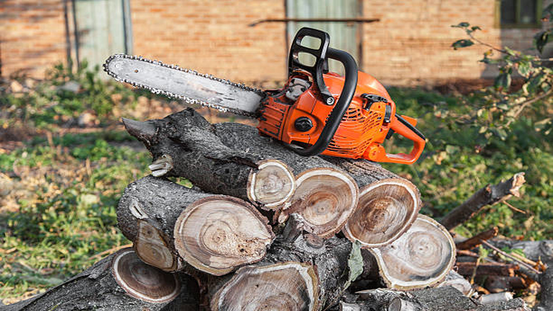 Tino's Tree Service VA