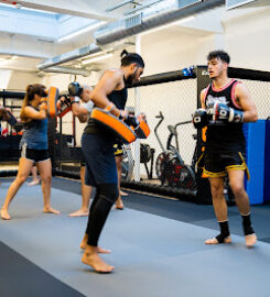 Fight City Gym – Elephant Park