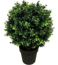 Designer Plants