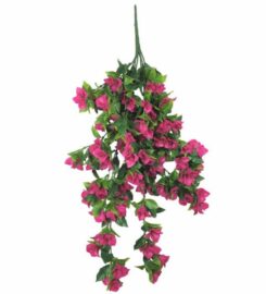 Designer Plants