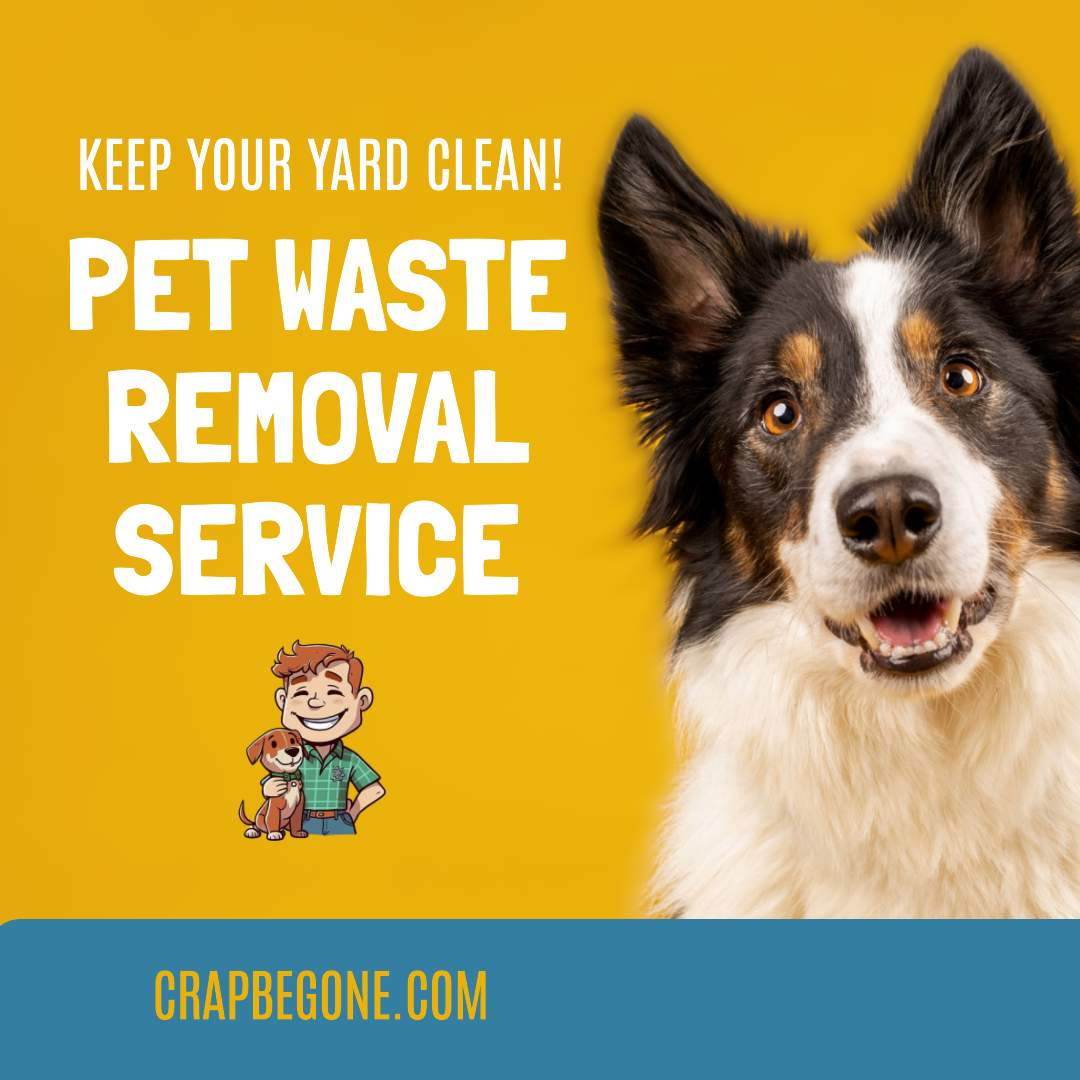 Crap Be Gone | BC’s Trusted Yard Cleaning & Pet Waste Servi &hellip;