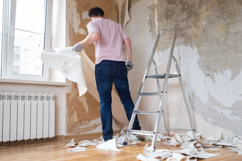 Troy Pro Painters