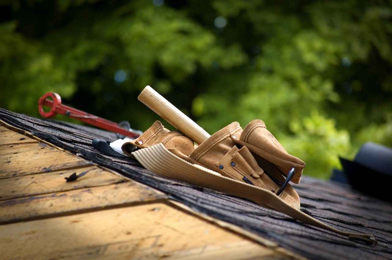 Roof Cleaning Newcastle