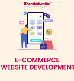 BrandsMartini – Digital Marketing Agency in Vancouver and B &hellip;