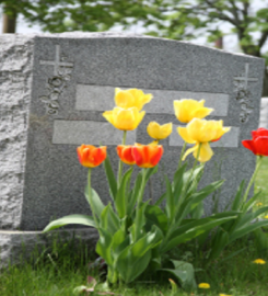 Dawise-Perry Funeral Services/Mandan Crematory