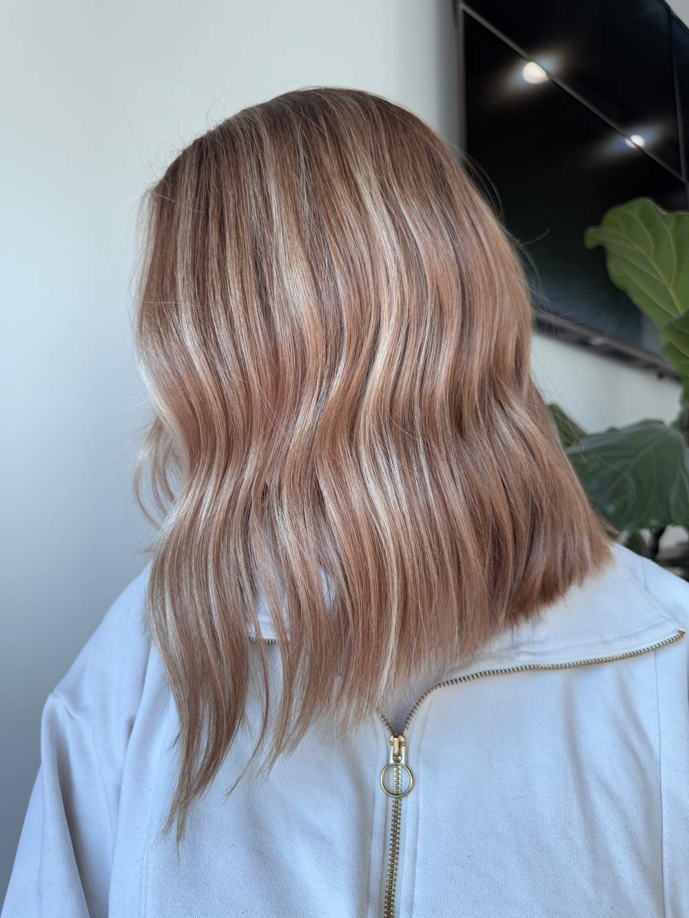 William Robert Salon