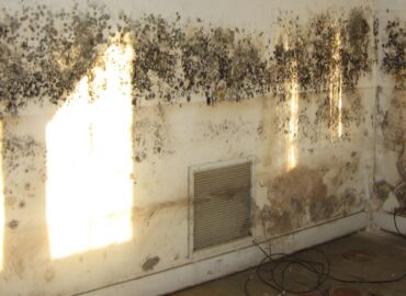 Housing Disrepair Team