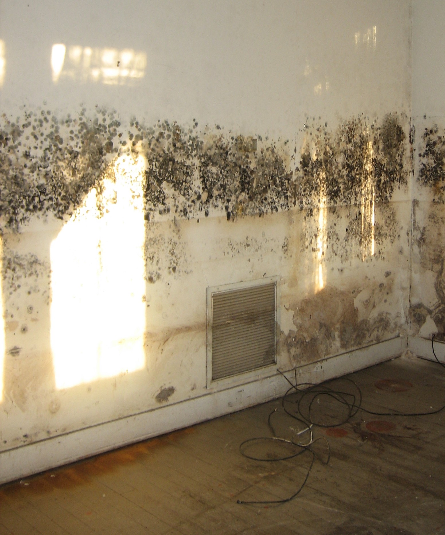 Housing Disrepair Team