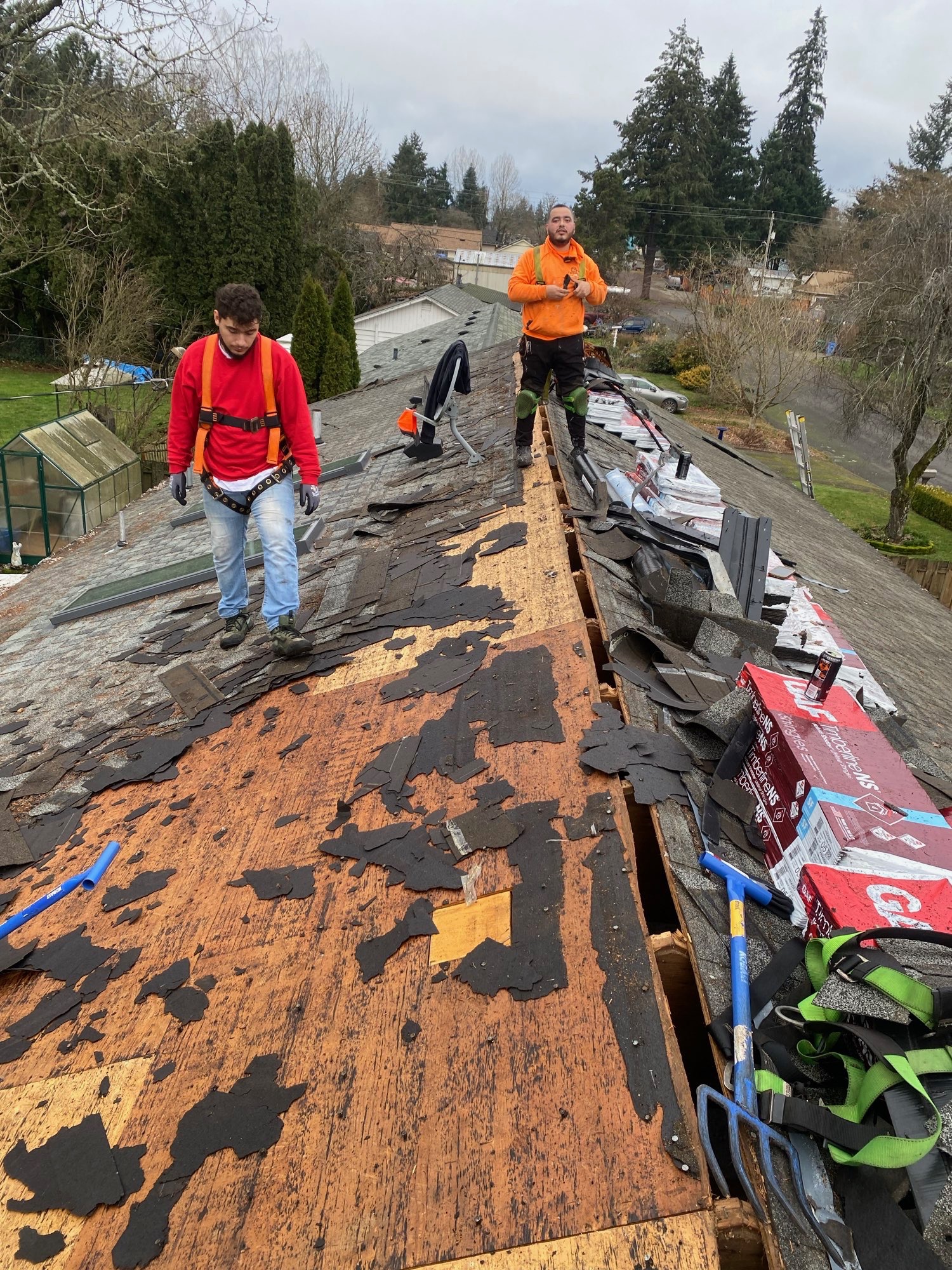 I & X Construction – Hillsboro Roof Moss Removal &  &hellip;