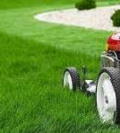 Verde Oasis Landscaping LLC