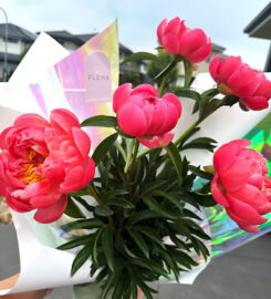 Flowa Flower Delivery