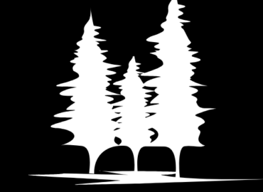 Eugene Tree Service