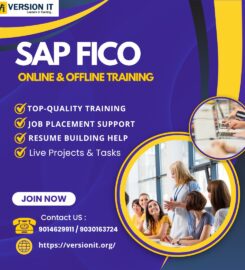 Version IT – SAP Abap, Basis, Fico, SD, MM, SAC, HR Online  &hellip;