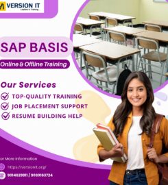 Version IT – SAP Abap, Basis, Fico, SD, MM, SAC, HR Online  &hellip;