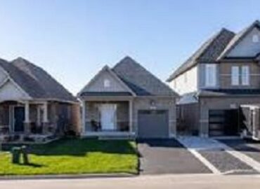 Real Estate Services NAZ