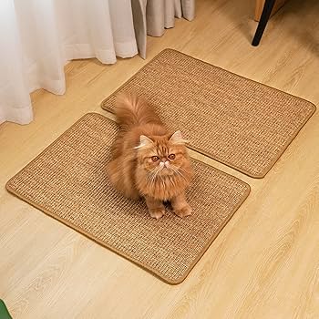Transform Your Home with the Perfect Cat Scratcher Post