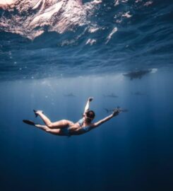Deep Blue Eco Tours