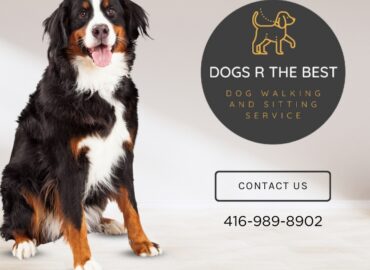 Dogs R The Best