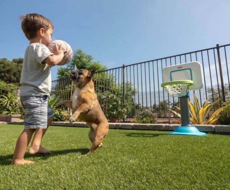 Elite Synthetic Grass